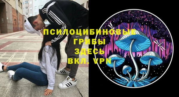 mix Кодинск