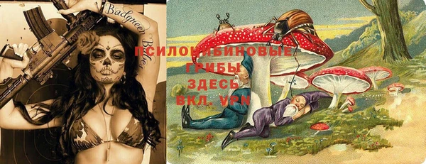 mix Кодинск