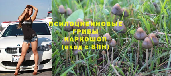 таблы Козловка