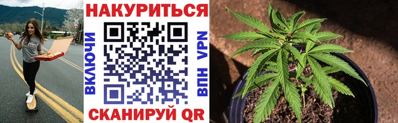 МАРИХУАНА ГИДРОПОН  Купить где  Геленджик 